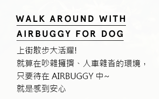 WALK AROUND WITH AIRBUGGY FOR DOG