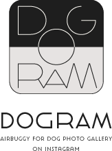 DOGRAM