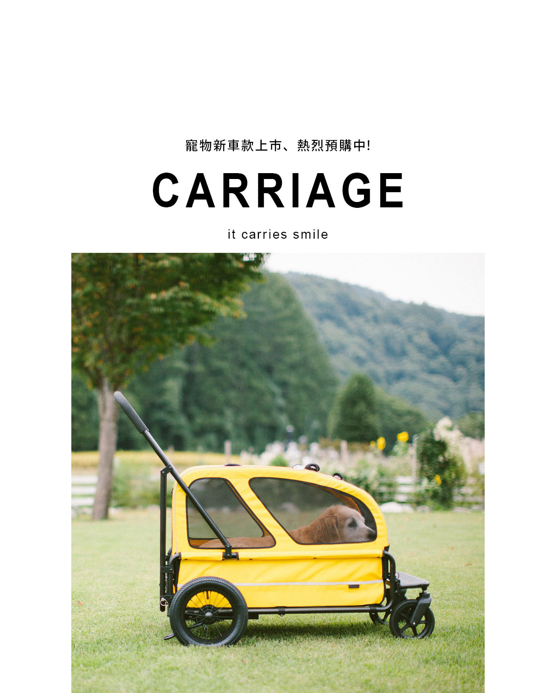 Carriage