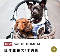 NEW vol.10  DOME M ミニチュアダックスフンド