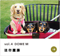 vol.4  DOME M ミニチュア・ダックスフンド