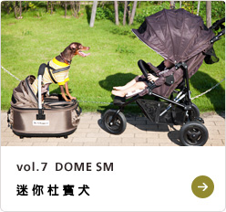 vol.7  DOME SM ミニチュア・ピンシャー