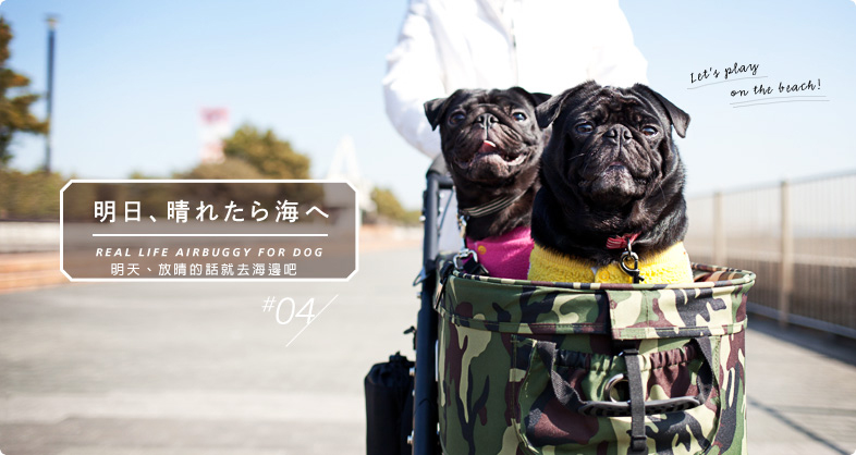 VOL.4 明日、晴れたら海へ REAL LIFE AirBuggy for Dog